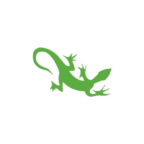 Garden lizard anole - anole, vinyl